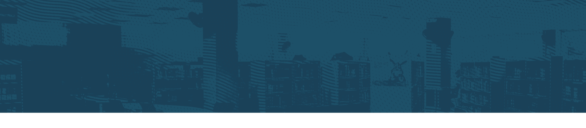Banner - Consejo Editorial REDA